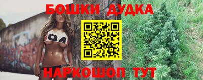 гидра Новокубанск