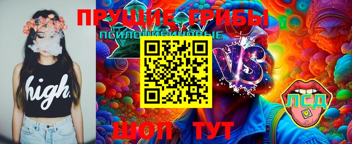 Галлюциногенные грибы MAGIC MUSHROOMS Урус-Мартан